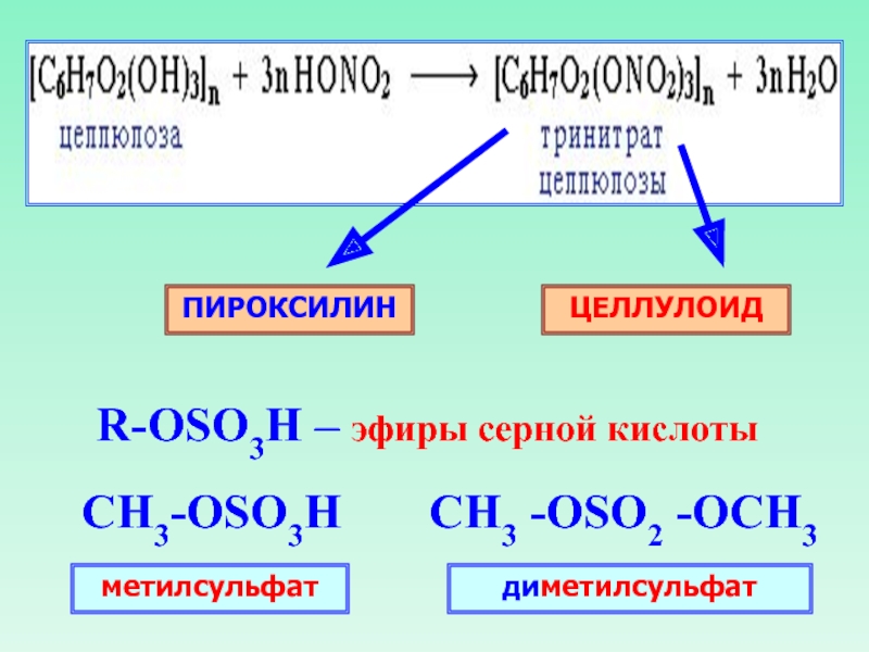 Эфиры серной кислоты