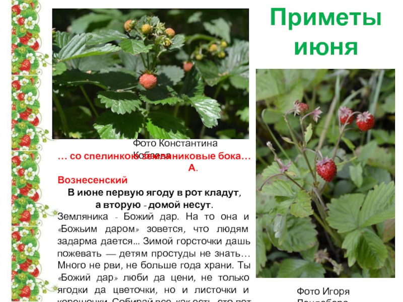 Июнь месяц в россии. Народные приметы на июнь. Картинка июнь с описанием. Картинки приметы июня. Июнь приметы месяца.