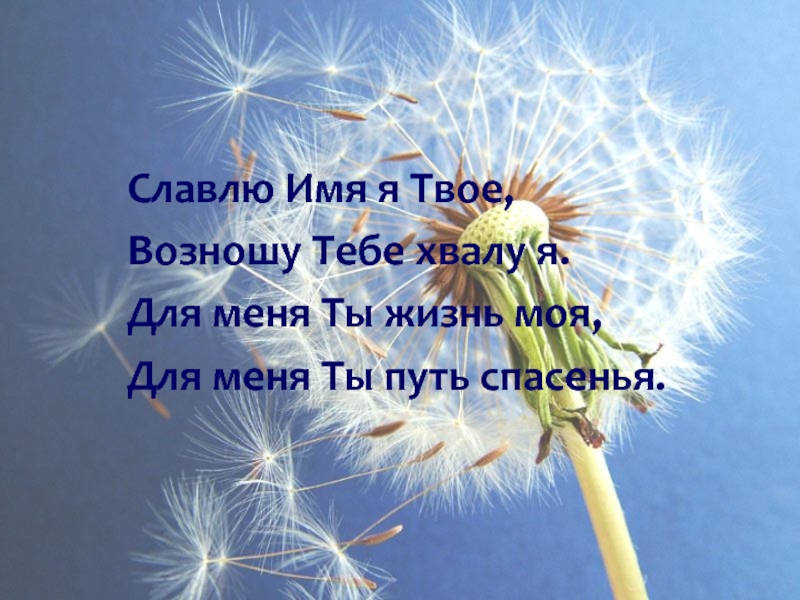 Прославлять. Возношу тебя Господь прославляю тебя. Господь мой и Бог мой. Славлю тебя Господь. Я люблю тебя Господь.