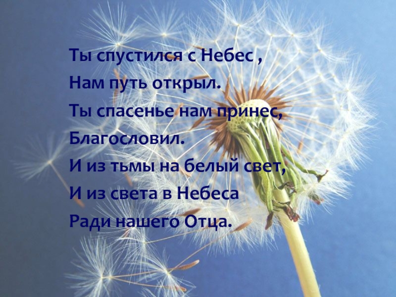 Спустись с небес. Спускается с небес. Спуститесь с небес на землю цитаты. Спустишься с небес фразы. Спуститься с небес на землю.