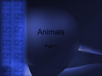 Animals