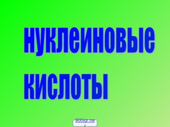 Нуклеиновые кислоты