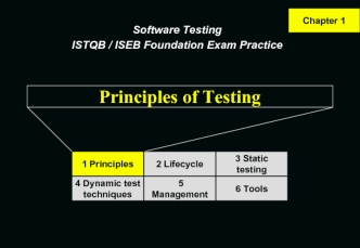 Principles of Testing