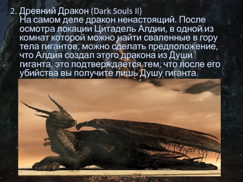 Древний дракон dark souls 2. Присносущий дракон Dark Souls. Драконий Страж Dark Souls 2. Страж дракона дарк соулс.