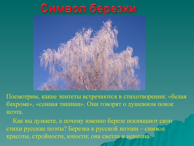 Ветер какой эпитеты. Эпитет. Эпитеты к Березе. Стихи русских поэтов с эпитетом. Поэты о Березе.