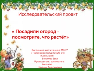 Исследовательский проект Посадили огород — посмотрите, что растёт