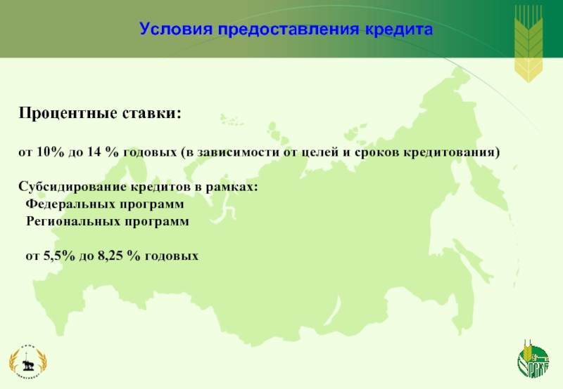 Условия предоставления кредита. Условия кредитования 5.1.