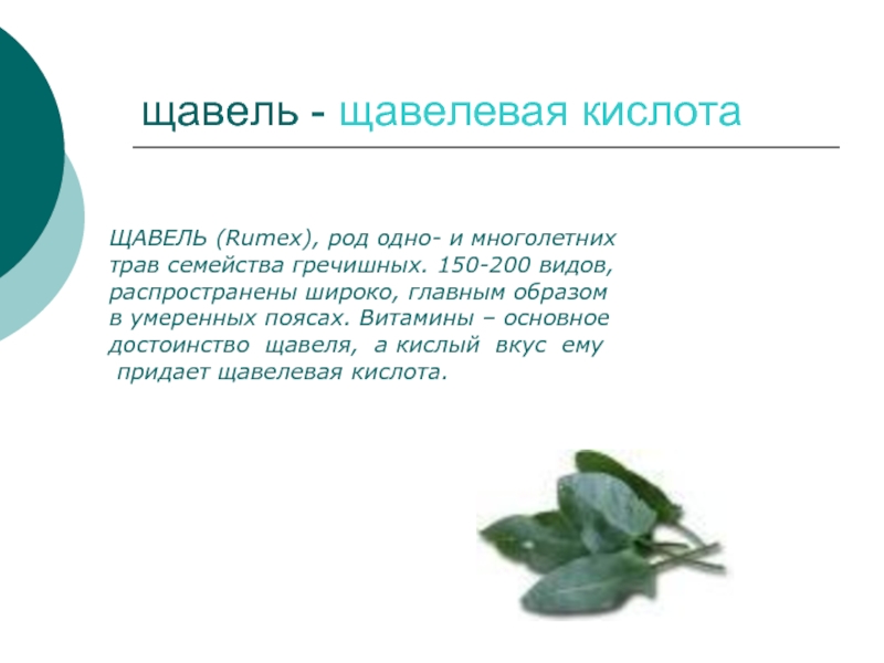 Обработка щавельной кислотой. Щавелевая кислота cahco32. Щавелевая кислота в щавеле. Щавелевая кислота в быту. Кислоты органические щавелевая.