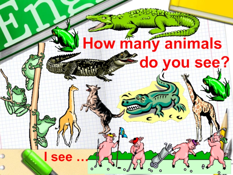 How many animals live