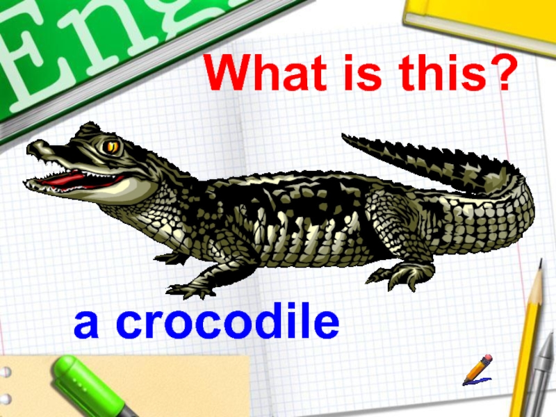 Игра крокодил на английском. Крокодил на английском. Как по английски будет крокодил. Карточки по английскому крокодил. Крокодил на английском языке игра.