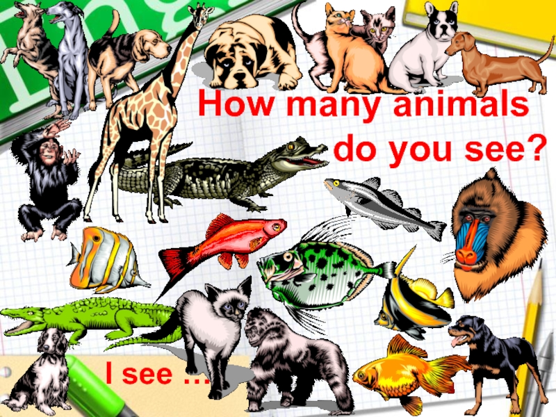 Many animal owners. Картинка how many animals. How many animals do you see. Картинка how many animals can you see. Животные i can see.
