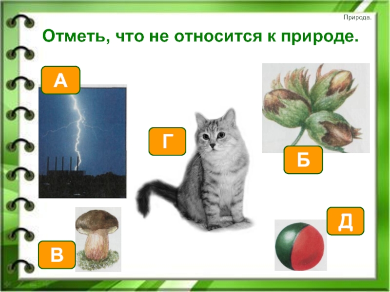 Тест окружающий мир посмотри вокруг. Отметьте то что относится к природе и к.