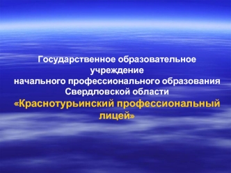 Государственное образовательное учреждение
начального профессионального образования Свердловской области 
Краснотурьинский профессиональный лицей