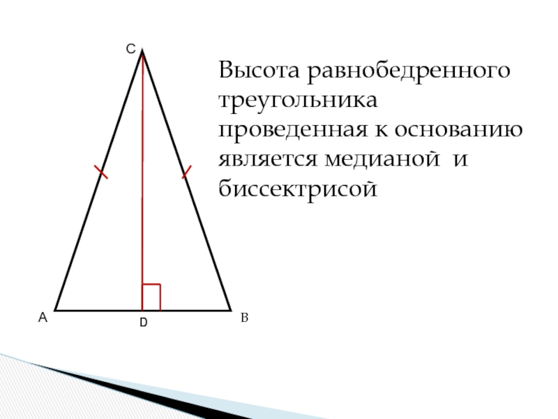 Что является высотой. Высота в равнобедренном треугольнике. Высота и Медиана в равнобедренном треугольнике. В равнобедренном треугольнике высота является. Равнобедренный треугольник Медиана биссектриса и высота.