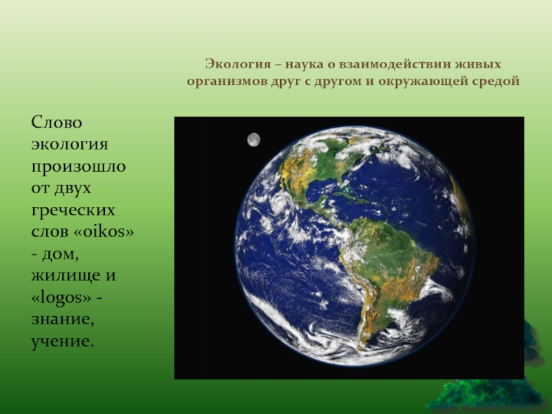 Экология это наука о взаимодействии живых организмов. Экология происходит от двух греческих слов. Жилище и учение название науки. Наука экология в двух словах. От какого греческого слова происходит название науки экология.