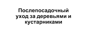 Послепосадочный уход за деревьями и кустарниками