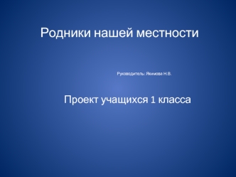 Родники нашей местности                                                      Руководитель: Якимова Н.В.