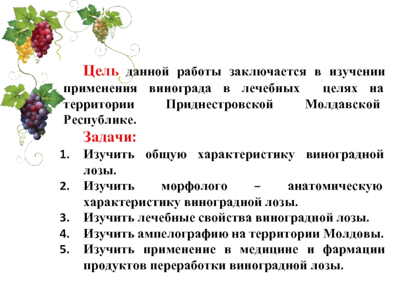 Доклад по теме Лечебные свойства винограда 