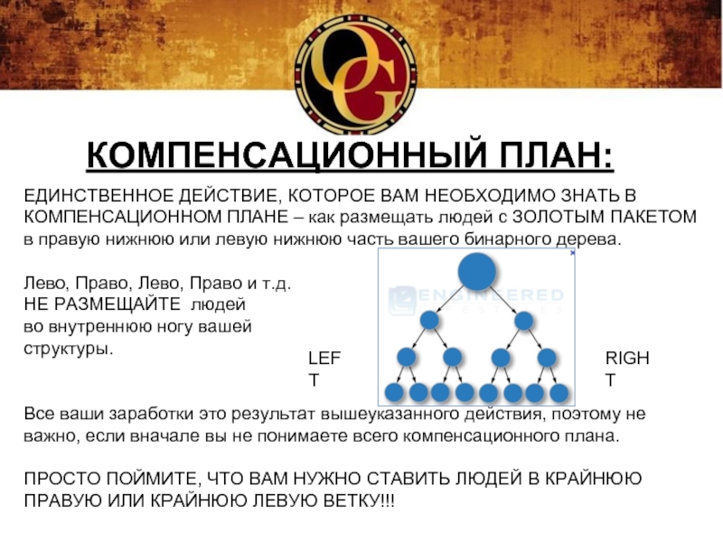 Единственное действие. Ориентационный тренинг. Mannatech компенсационный план. Компенсационный план NSP.