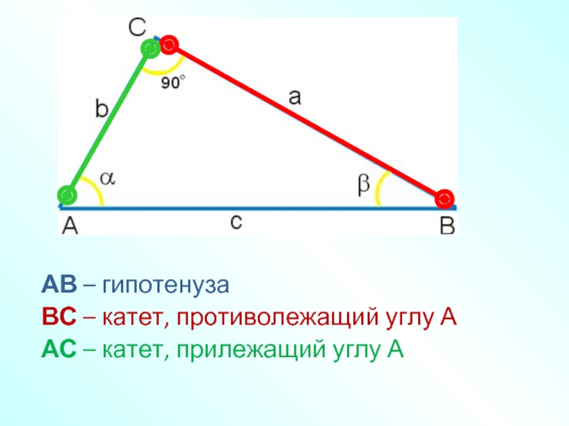 Прилежащий катет и противолежащий на рисунке