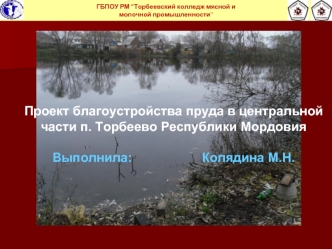 Проект благоустройства пруда в центральной части поселка Торбеево Республики Мордовия