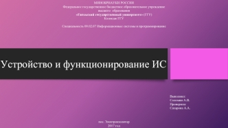 Устройство и функционирование информационных систем