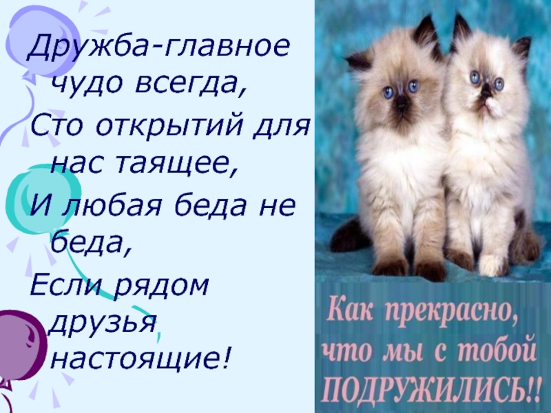 Чудо всегда. Дружба главное чудо всегда СТО. Дружба главное чудо всегда СТО открытий для всех настоящие. Дружба главное чудо всегда картинки. Что не главное в дружбе.