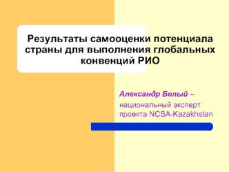 Результаты самооценки потенциала страны для выполнения глобальных конвенций РИО