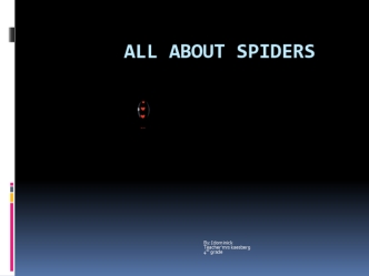 All about spiders