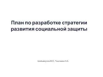 План по разработке стратегии развития социальной защиты