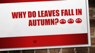 Why do leaves fall in autumn