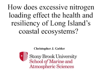 How does excessive nitrogen loading effect the health and resiliency of Long Island’s coastal ecosystems?