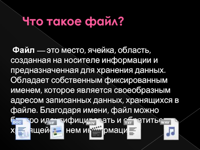 Проект что такое файл