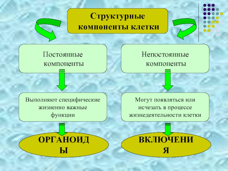 Структурные элементы презентации