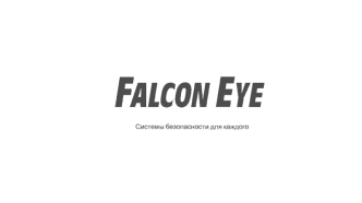 Falcon Eye - системы безопасности для каждого