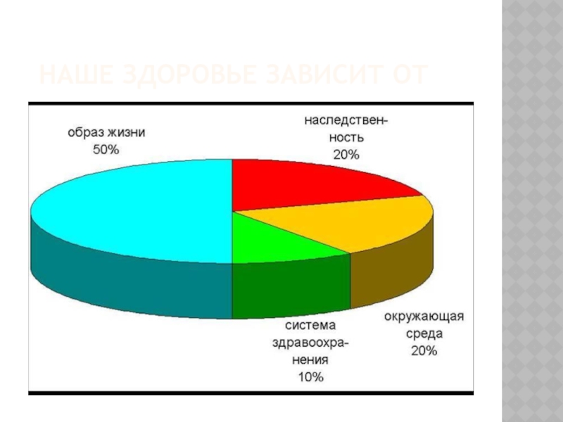 От чего зависит наше здоровье диаграмма