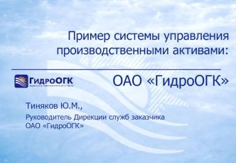 Пример системы управления производственными активами:ОАО ГидроОГК