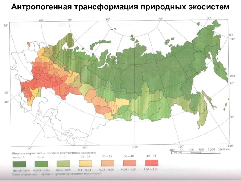 Экосистемы природных зон