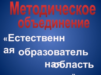 Методическое