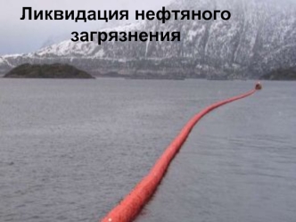 Ликвидация нефтяного загрязнения