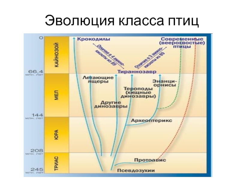 3 класс развитие