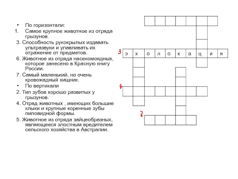 Кроссворд по биологии 7 класс. Кроссворд биология 7 класс млекопитающие. Кроссворд на тему отряды млекопитающих. Кроссворд по биологии 7 класс млекопитающие. Кроссворд по биологии на тему млекопитающие.