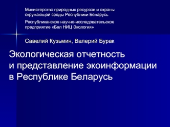 Экологическая отчетность 
и представление экоинформации в Республике Беларусь