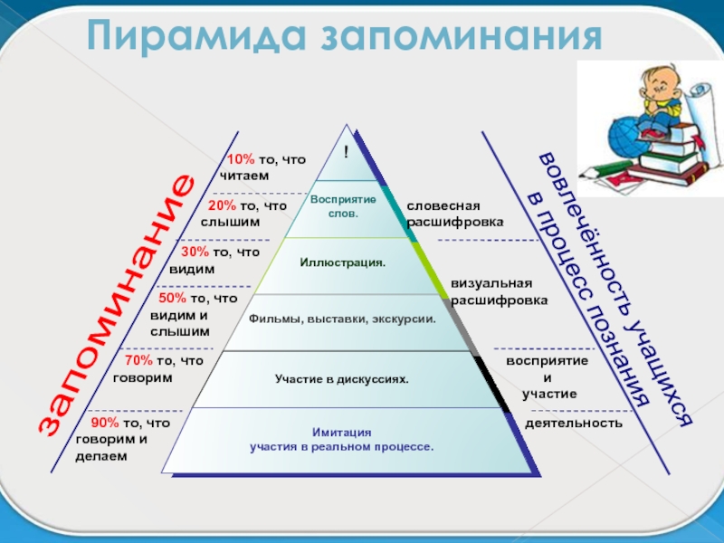 Картинка пирамида обучения