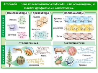 Углеводы. Классификация углеводов. Явление мутаротации. (Лекция 4)