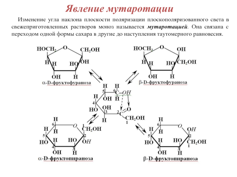 Схема таутомерных превращений d маннозы в растворе