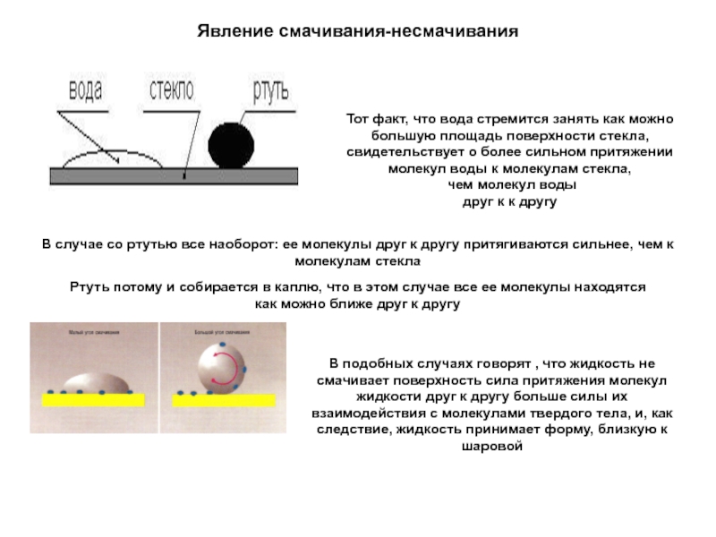 Смачивание и несмачивание физика 10 класс презентация