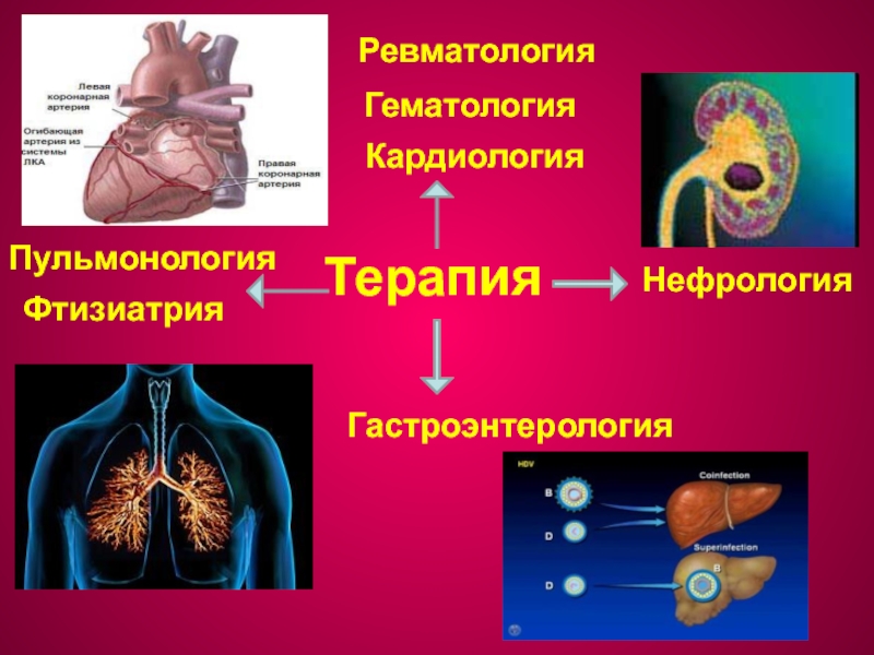 Пульмонология фтизиатрия. Пульмонология и кардиология. Пульмонология презентация. Пульмонология это терапия. Фтизиатрия ва пульмонология.