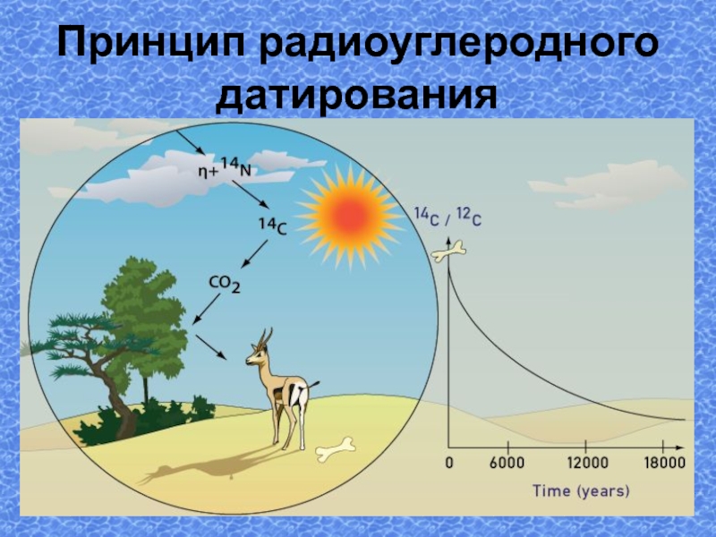 Радиоуглеродный анализ картинки