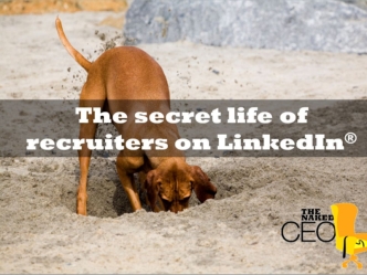 The secret life of recruiters on LinkedIn®